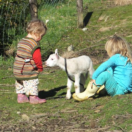 Little Paradise & Petting Farm Греймут Экстерьер фото