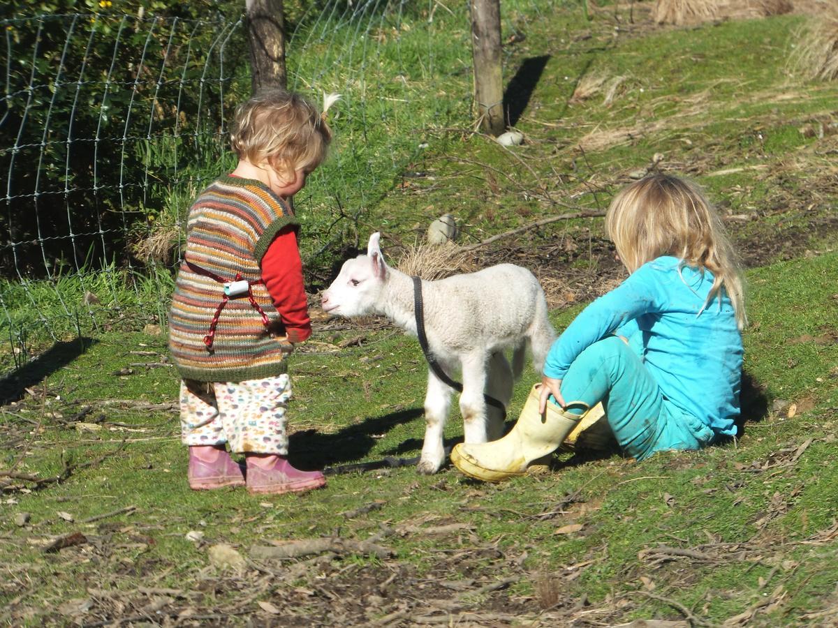 Little Paradise & Petting Farm Греймут Экстерьер фото